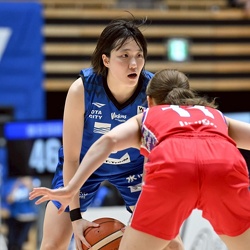 12/19_デンソー アイリス